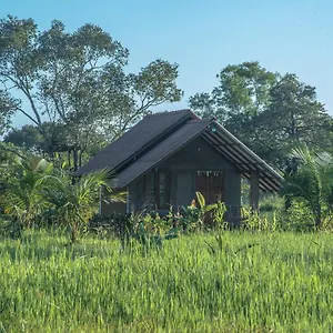 Farm Habarana