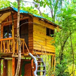  Gasthof Habarana City Hostel