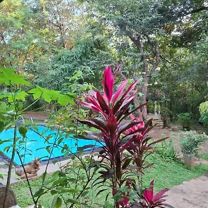 Villa Habarana Habarana