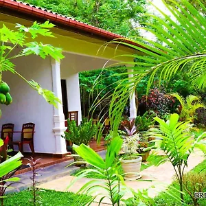 Priyavimana Habarana